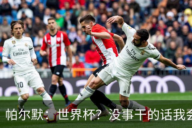 帕尔默：世界杯？没事干的话我会看看，我希望他们能走到最后