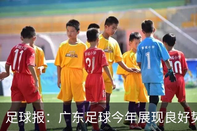足球报：广东足球今年展现良好势头，广州豹、深圳青年人全力冲超