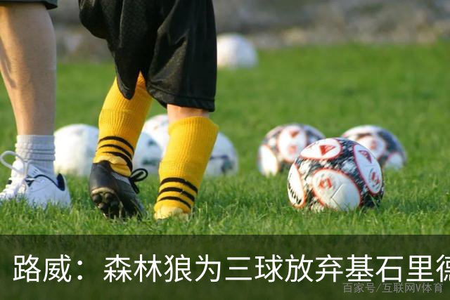 路威：森林狼为三球放弃基石里德 那他们就得创造新球队文化