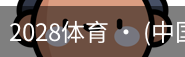 2028体育